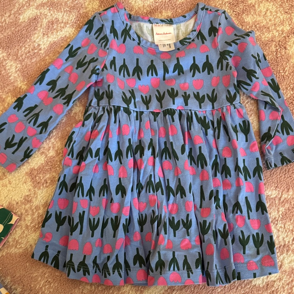Hanna Andersson Blue and Pink Tulip Dress